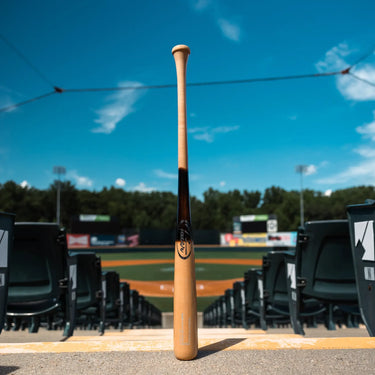 Tater X12 Pro maple bat standing upright behind home plate in an empty stadium