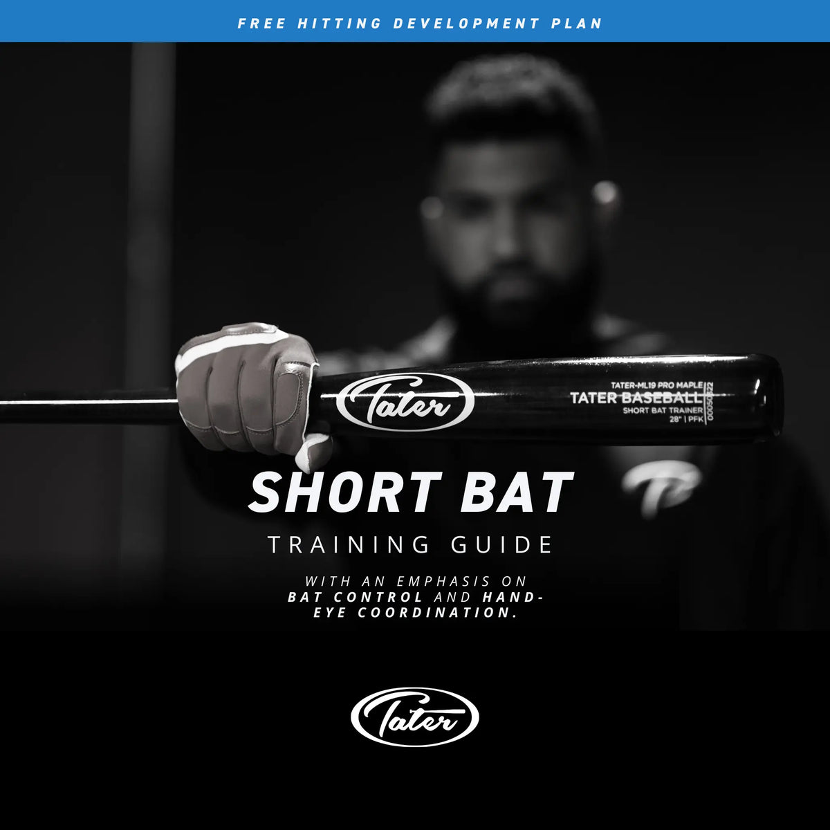 Short Bat Training Guide Hitting Development Plan 2.0 Tater Baseball