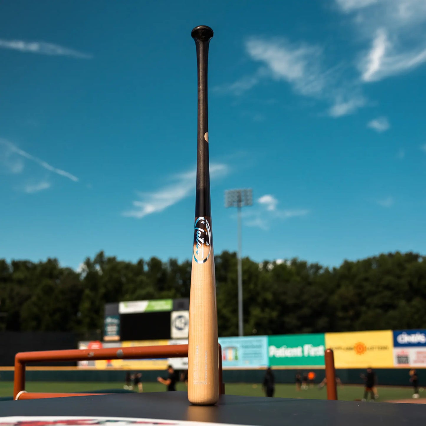 This image features a Tater X4 Pro Maple bat standing upright on the edge of a baseball field. The bat's handle points skyward while the backdrop captures the stadium seating and clear blue sky, indicating its popularity in tournaments and showcases as a Victus wood bat alternative.
