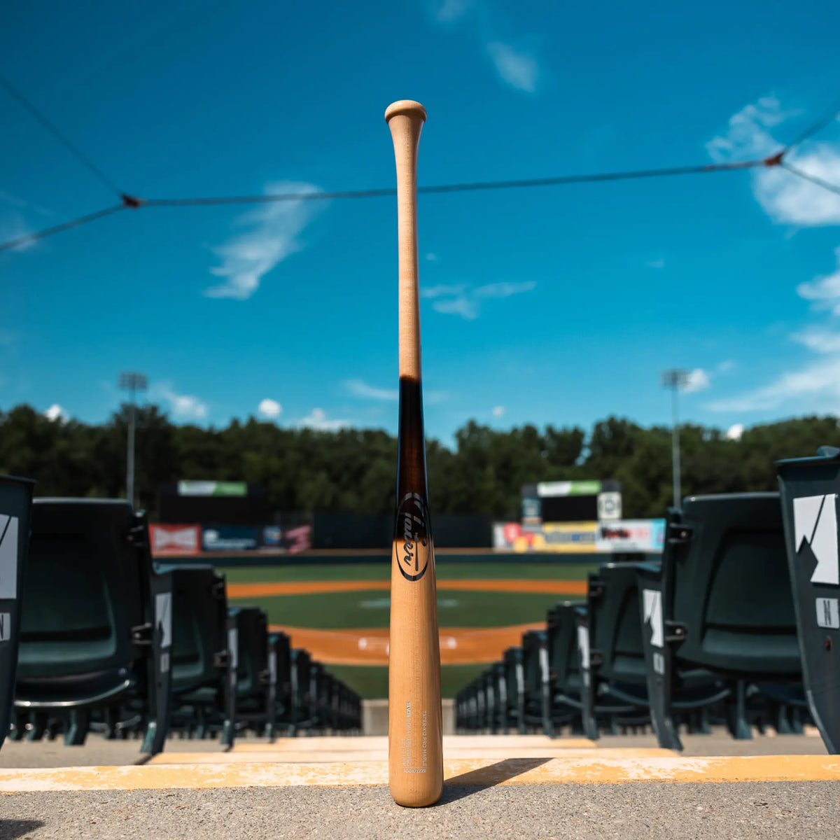 The image showcases a Tater X12 Pro Maple bat standing upright on the stands behind home plate, set against the backdrop of an empty baseball stadium under a vivid blue sky. The bat&#39;s natural finish and prominent Tater logo reflect the bat&#39;s quality.