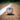 A white baseball with red stitching and black printed text reading 'Tactex' and 'Premium Leather Cover' resting on a dirt field next to a white foul line.