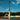 Tater X4 Pro maple bat standing upright at the edge of a baseball field